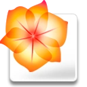 Adobe Illustrator CS2