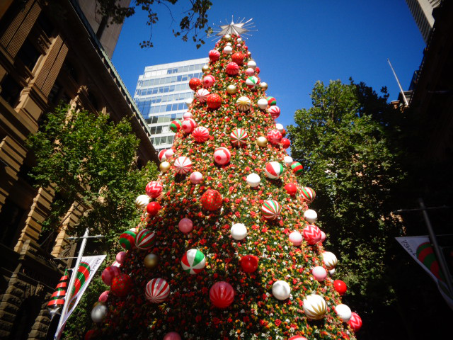Biggest X-Mas Tree in Australia